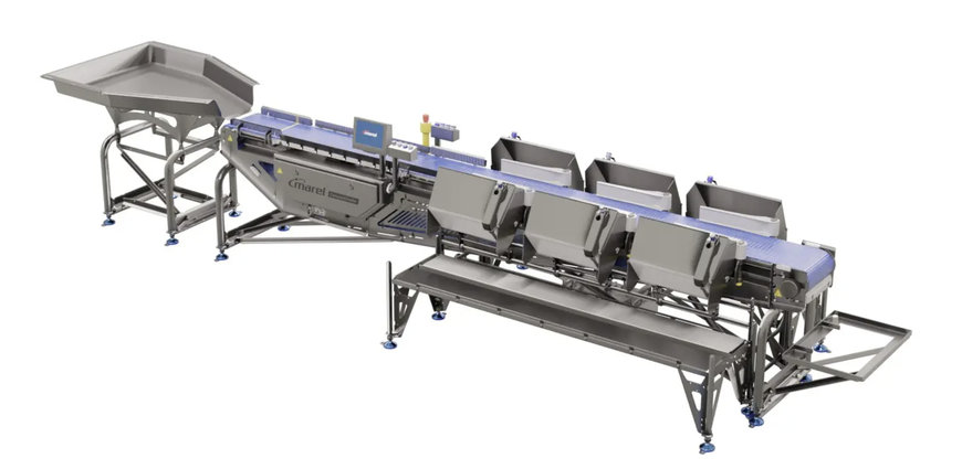 ELEVATE YOUR LOBSTER AND CRAB PROCESSING WITH MAREL GRADERS